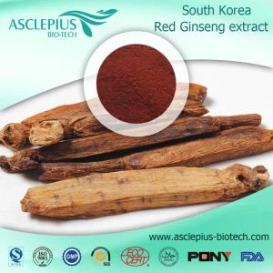 Pemasok BUBUK Ekstrak Ginseng Merah Korea Grosir