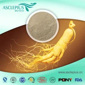 Pemasok Bubuk Ekstrak Ginseng Panax Grosir/Panaxoside, termasuk Ginsenoside RB1,ginsenoside Rg1,ginsenoside Rg3,ginsenoside Rg2,ginsenoside Rh2