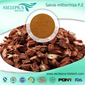 Ekstrak DanShen, Ekstrak Salvia Miltiorrhiza Bge, Ekstrak Salvia, Salvia Quinone Ⅱ A, Tanshinone Ⅱ A, Pemasok Grosir Cryptotanshinone